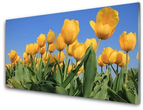 Obraz plexi Tulipány kvety rastlina 140x70 cm
