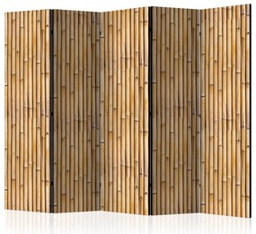 Artgeist Paraván - Amazonian Wall II [Room Dividers]
