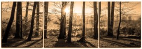 Obraz na plátne - Jesenné ráno v lese - panoráma 5251FC (90x30 cm)