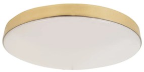 Stropné LED svietidlo MAYA, 1xLED 15W, (biely plast), G