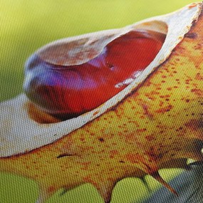 Obraz gaštanov (120x50 cm)