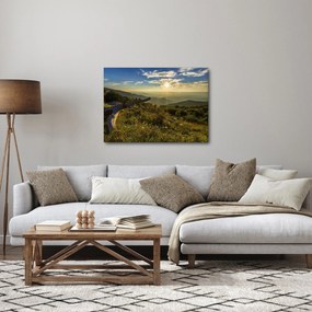 Obraz - Výhľad do okolia (70x50 cm)