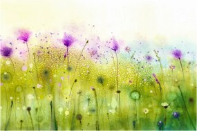 Obraz - Lúčne kvety (90x60 cm)