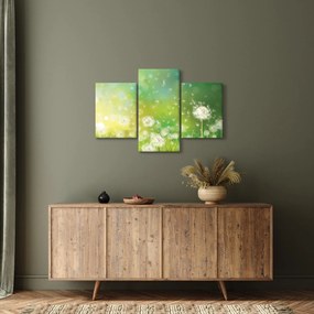 Obraz - Odkvitnuté púpavy (90x60 cm)