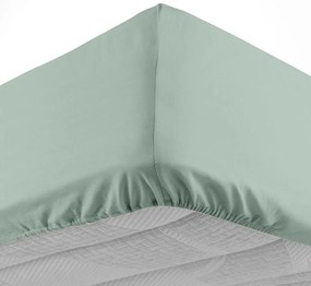 Svetlozelená napínacia bavlnená plachta 180x200 cm Lina – douceur d'intérieur
