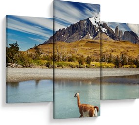 Obraz - Národný park Torres del Paine (90x60 cm)