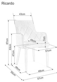 Jedálenská stolička RICARDO VELVET zelená