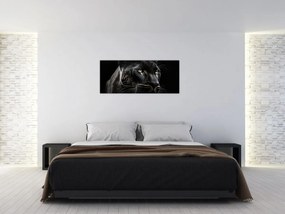 Obraz - Čierny panter (120x50 cm)