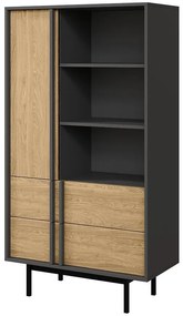 Vitrína Alsy 4 Olejovaný dub/Antracit