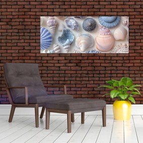 Obraz - Zbierka mušlí (120x50 cm)