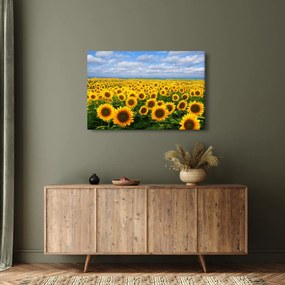 Obraz slnečnicového poľa (90x60 cm)