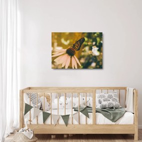 Sklenený obraz motýľa na kvetine (70x50 cm)