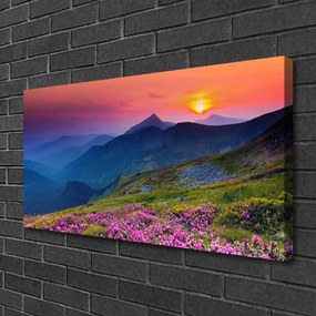 Obraz Canvas Hory lúka kvety príroda 140x70 cm