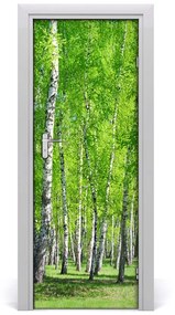 Fototapeta na dvere samolepiace Břízová les 85x205 cm