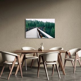 Obraz - Most k vrcholkom stromov (90x60 cm)