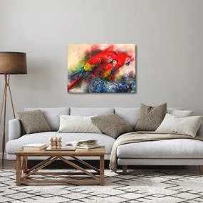 Obraz červených papagájov ara (70x50 cm)