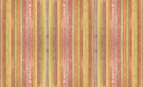 Fototapeta - Textúra - Farebná doska (152,5x104 cm)