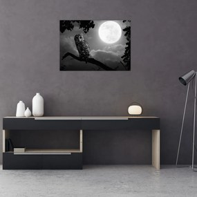 Obraz - Nočná sova, čiernobiela (70x50 cm)