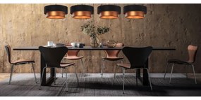 Luster na lanku DUO 1xE27/60W/230V