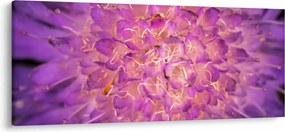Detailný obraz kvetu (120x50 cm)