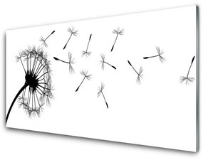 Obraz plexi Púpava kvet 125x50 cm