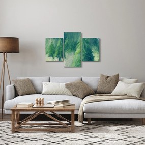 Obraz - Maľované ihličnany (90x60 cm)