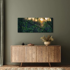 Obraz presvitajúceho slnka cez vetvičky stromov (120x50 cm)