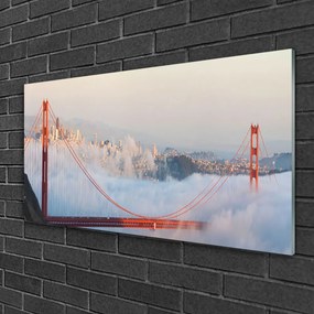 Skleneny obraz Mosty architektúra 100x50 cm