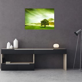 Sklenený obraz - Strom života (70x50 cm)