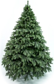 Borovica Aurora široká 3D 210cm