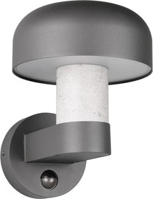 Nástenné vonkajšie svietidlo (výška 24,5 cm) Fraser – Trio