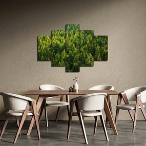 Obraz - Hustý les (150x105 cm)