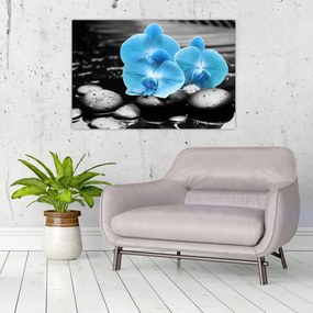 Obraz - Modrá orchidea (90x60 cm)