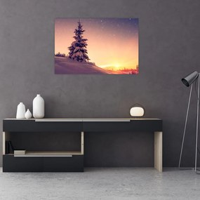 Obraz zasneženého stromu na lúke (90x60 cm)