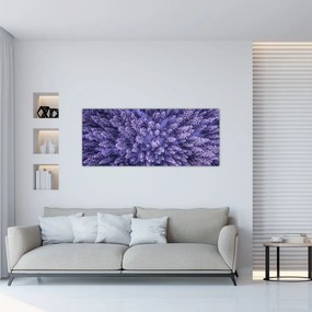 Obraz zasnežených stromov (120x50 cm)