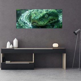 Obraz - Portrét hada (120x50 cm)