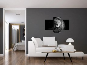 Obraz - Lev, čiernobiela (90x60 cm)