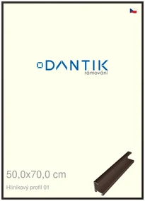 DANTIK rám na obraz 50x70 | ALU Hnědá matná (Plexi Čiré)