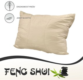 Vankúš Feng Shui |70x90 cm