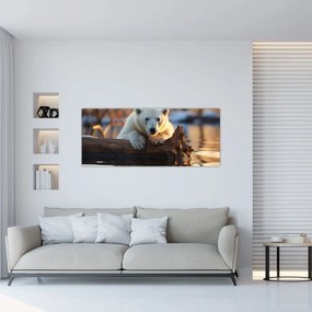 Obraz - Medveď ľadový (120x50 cm)