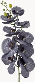 Rastlinné dekorácie Orchid, 2 ks