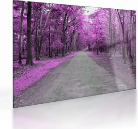 Sklenený obraz - Cesta parkom (70x50 cm)