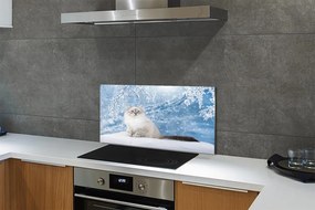 Nástenný panel  mačka zima 125x50 cm
