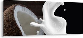 Obraz - kokosové mlieko (120x50 cm)