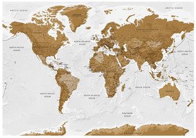 Samolepiaca fototapeta - Mapa sveta: Biele oceány 245x175