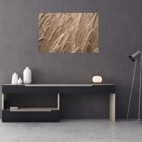 Obraz - Zlaté pole (90x60 cm)