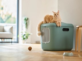 Rotho Mačacia toaleta, krytý záchod pre mačky CAT XXL - zelená