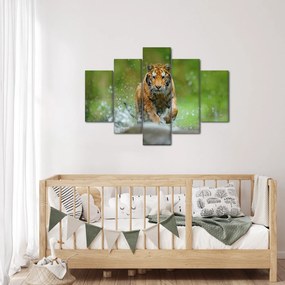 Obraz - Bežiaci tiger (150x105 cm)