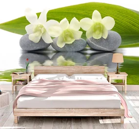 Sablio Tapeta Biela orchidea - 336x220 cm