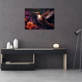 Obraz - Kolibrík (70x50 cm)
